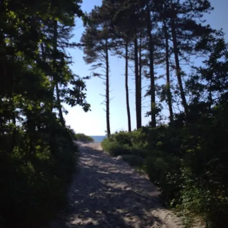 Baltica